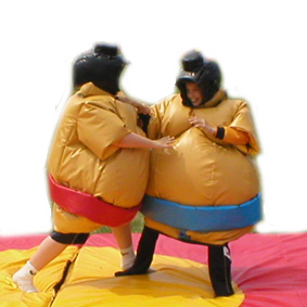 Bouncy Castles UK Bouncy Castles for Sale - ACC65 - Bouncy Inflatable for sale
